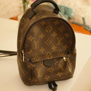 Louis Vuitton Monogram Palm Springs Mini Backpack